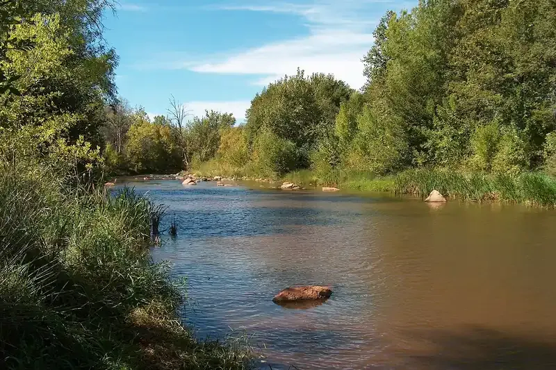 Oak Creek running through cottonwoods in Sedona