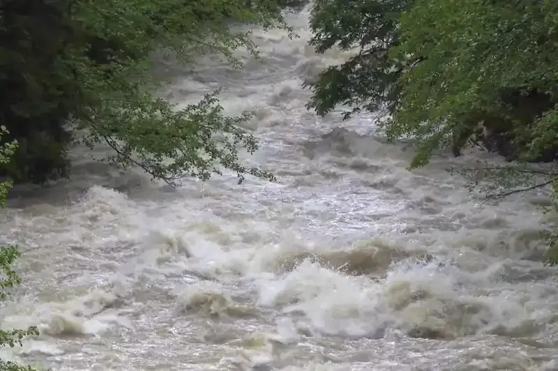 Fast brown floodwater rushing through trees